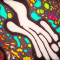 1281d4ba-9ca0-4612-9c3b-28fec5c63fb6.png