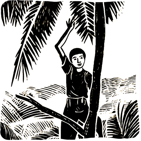 smiling filipino boy atop coconut tree triumphantly hold 85ee948f-9a18-49f0-a383-748b415daf82.png